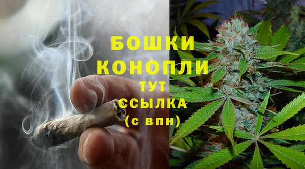 a pvp Гусев