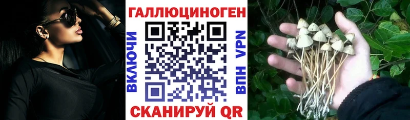 Псилоцибиновые грибы Psilocybine cubensis  Добрянка 